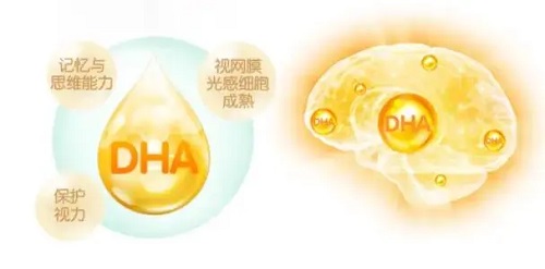 为什么医生不建议吃DHA dha的副作用有哪些