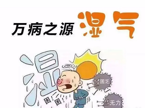 什么食物去湿气效果好 湿气重尽量六不吃是什么