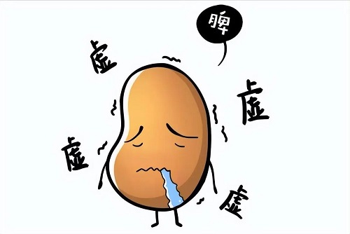 脾虚怎么调理 脾虚饮食需要注意什么