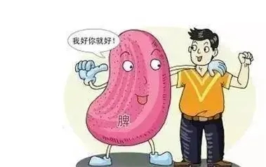 脾虚怎么调理 脾虚的五大症状是什么